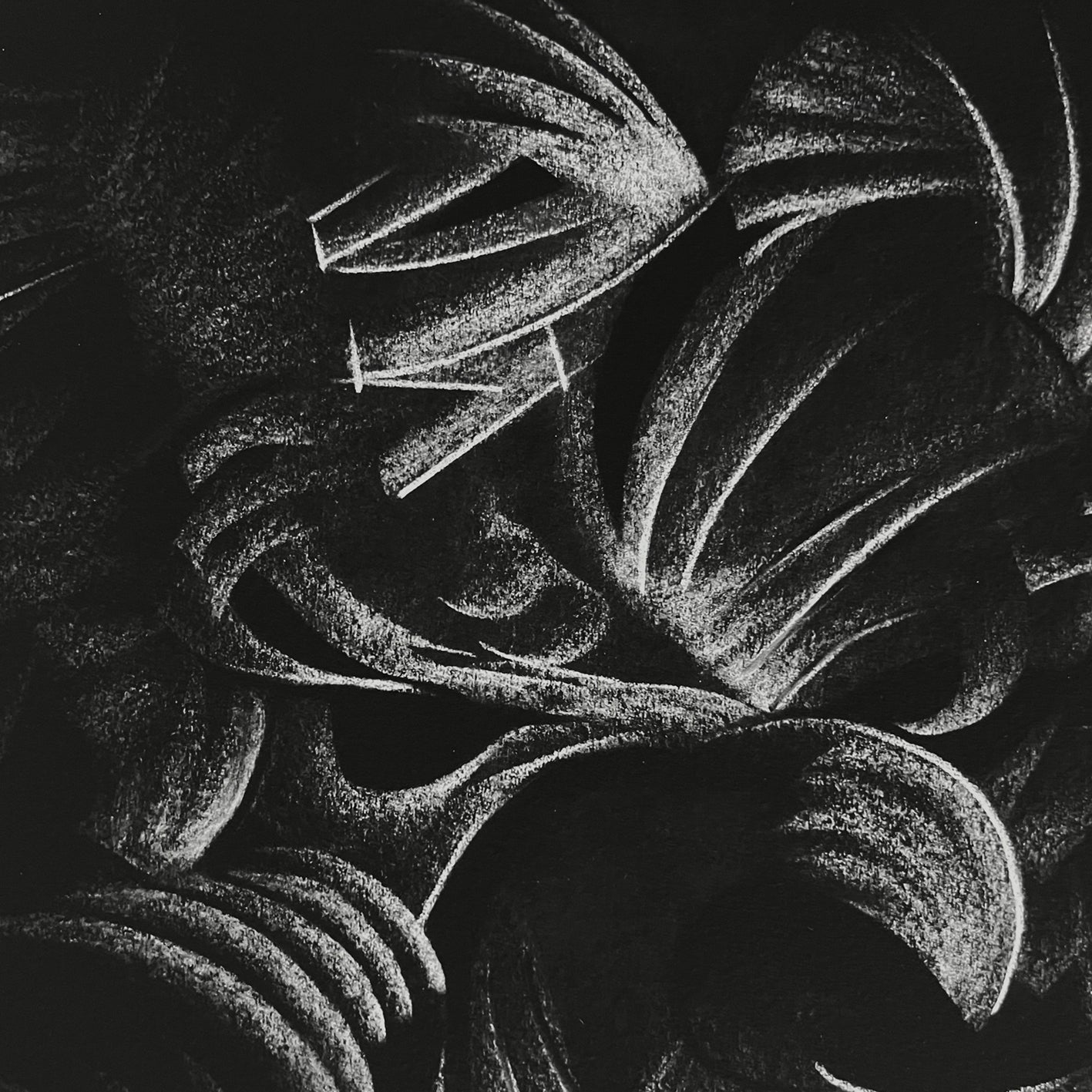Portrait of a Line